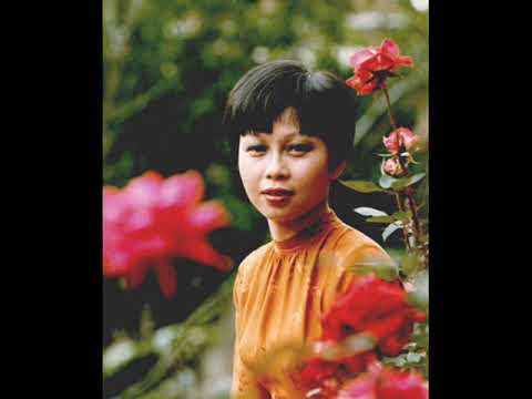 Đạm Hương - Nguyễn Hữu Nghĩa