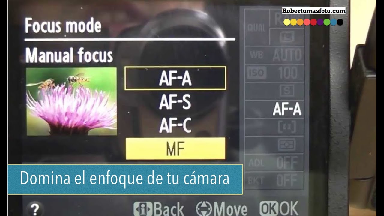 Como funciona el enfoque automático  AF S y AF C de nuestras cámaras de fotos
