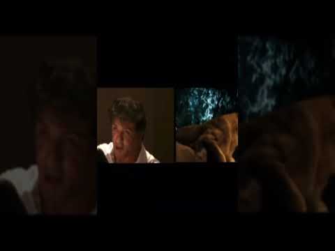 Sylvester Stallone voice Joe the lion from the zookeeper #sylvesterstallone #rambo