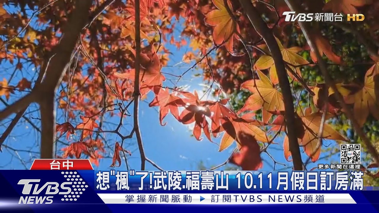 想「楓」了!武陵、福壽山 10、11月假日訂房滿