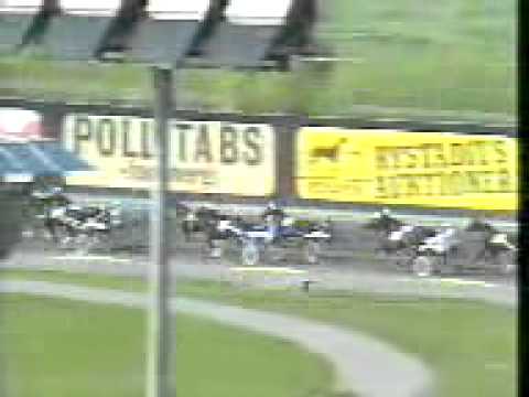 Elitloppet 1985 -Meadow Road