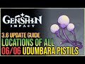 All Udumbara Pistil Locations Genshin Impact