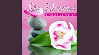 Meditation Chariots (Massage Therapy Music)