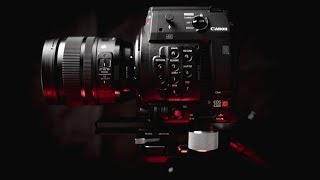 C200 (w/ Heavy Lens) on the Ronin S!
