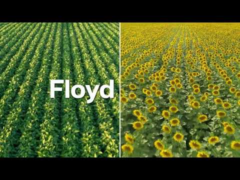 Floyd - prvi u zaštiti od divljeg sirka