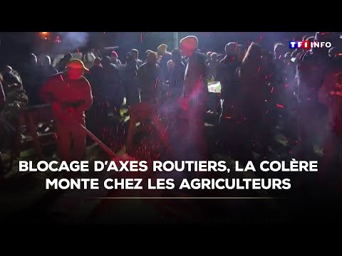 Dermatose nodulaire: blocage d'axes routiers, la colère monte chez les agriculteurs ｜TF1 INFO