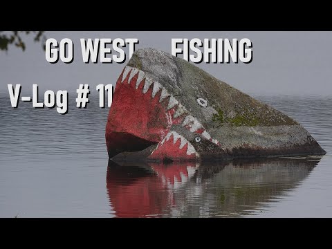 Schweden V-Log #11 | GO West - fishing | Åsnen & Mörrum | DIY mini-camper goes to Sweden