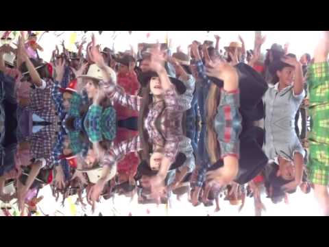 Revolta - Pau Com Arame