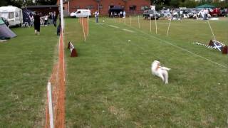 Jack Going Hell for Leather