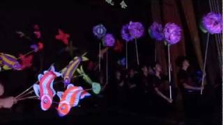 Flower Dragon Dance @ Ipoh Chin Woo Appreciation Night