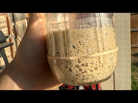 How to Make Sourdough Starter From Scratch