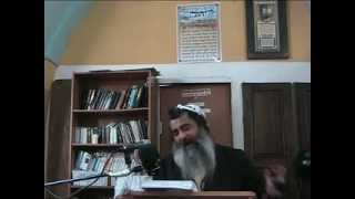 הרב שלום סבג -  - מעלת הכבוד