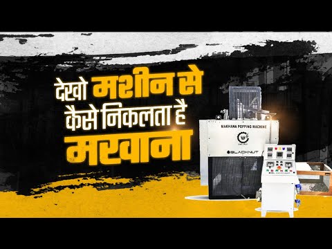 Machine Jo बदलेगी Makhana Industry! 🚀 Blacknut MPM 30 #blacknut