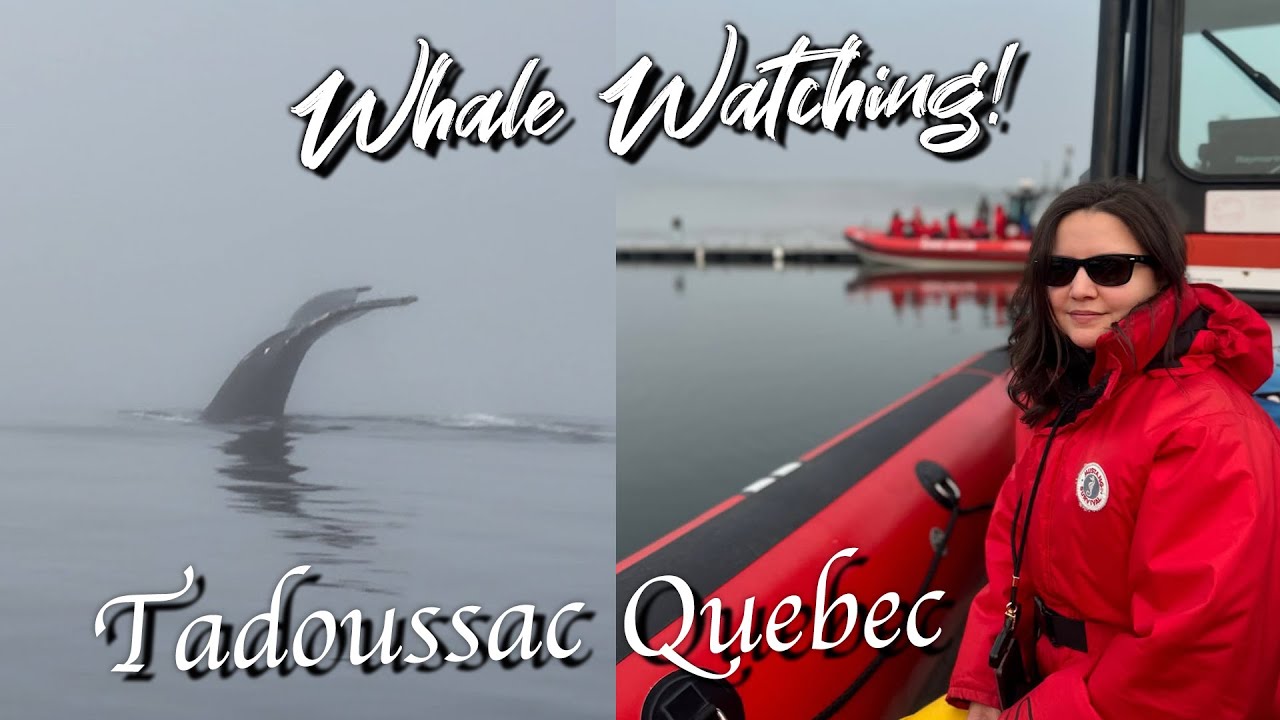 Tadoussac — whale watching