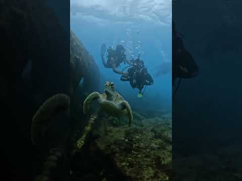 um dos momentos mais mágicos que vivemos #fernandodenoronha #nordeste #pernambuco