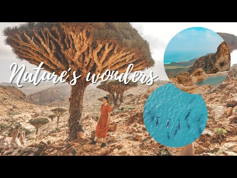 Best of Socotra - Nature´s best infinity pool & loads of Dolphins!
