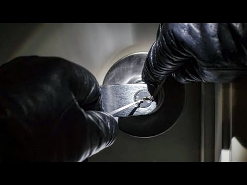 Germany cracks Europe-wide burglary gang of 500 members