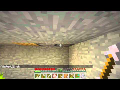 Let's Play Minecraft Together [S03 E14] -Hühner Stall ?!?!