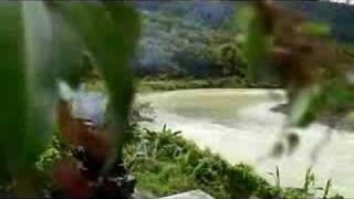 Download lagu Cuti-cuti Malaysia mp3