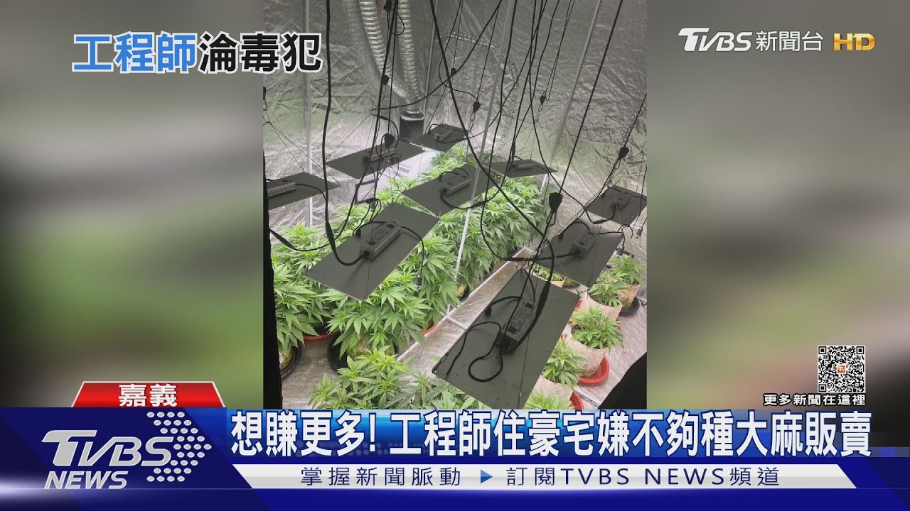 想賺更多!工程師住豪宅嫌不夠 種大麻販賣