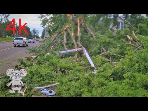 The aftermath of 70+ winds in Barron County, Wisconsin in 4k