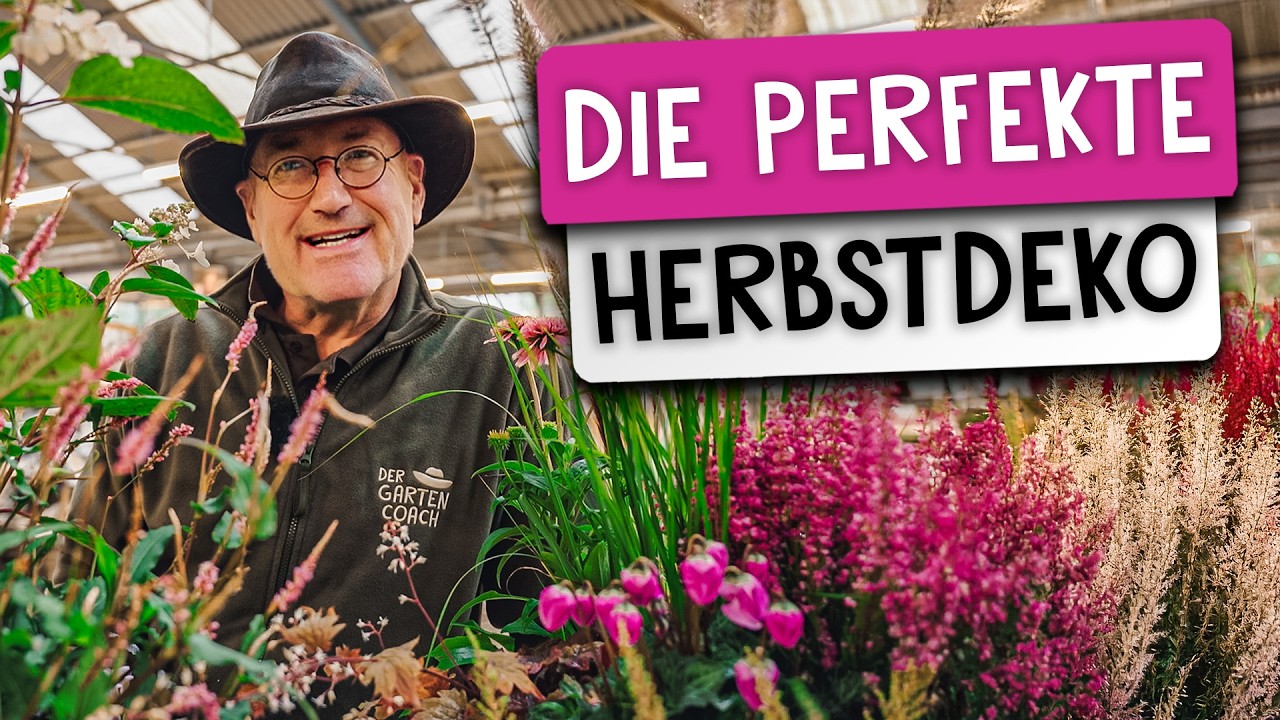 Gartengestaltung Video 3