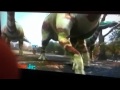 Dino Dan Part Lll