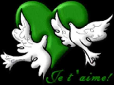 erion qerimi - zemra e braktisur offical video hd