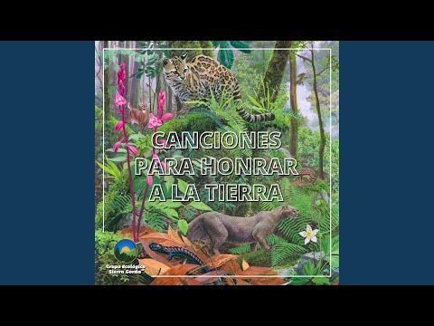 Todo Lo Que Tengo - Alberto Lozano