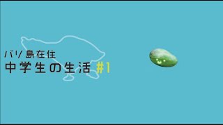 バリ島在住中学生です、初めての動画下手だけど見てくれたら嬉しいです。(音入れ忘れました、)