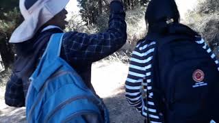 Palacios e castelos -  Luan Santana