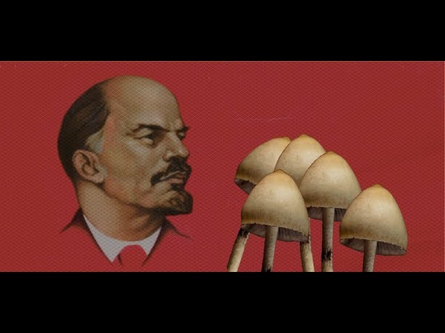 <p>Was Lenin a Mushroom ? Click here to know more !</p>
