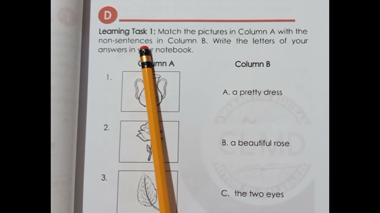 MATCH THE PICTURES IN COLUMN A WITH NON SENTENCE IN COLUMN B