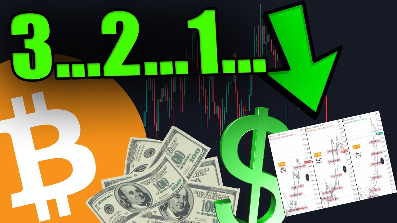 BITCOIN HOLDERS: HOW LOW CAN WE GO? THIS CHART REVEALS THE BOTTOM