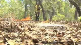 preview picture of video 'Prescribed Burning Fire Team Keeps Ecosystem Thriving'