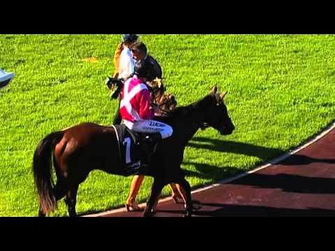 Ascot, 02/04/2016 - Race 5 - FIRST IMPRESSIONS - Mr Bob Peters & Glenn Smith