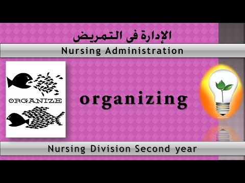 nursing care delivery model nursing administration 2nd year