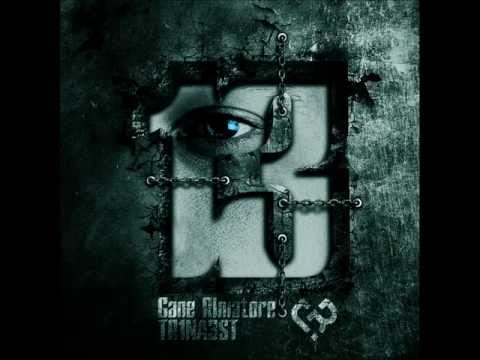 Gane RImatore - Ulični svirač