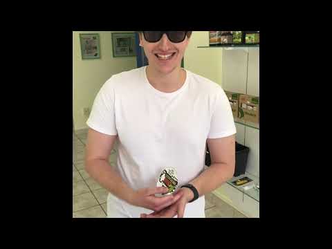 High Grade shop Refix  Dub 2018