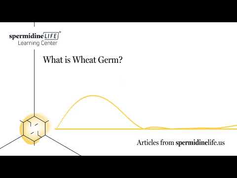 , title : 'What Is Wheat Germ? | Health Benefits of Wheat Germ