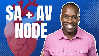 The Pacemaker of the Heart - SA and AV Nodes Made EASY!