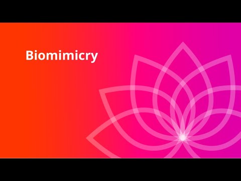 Humanity Rising Day 292