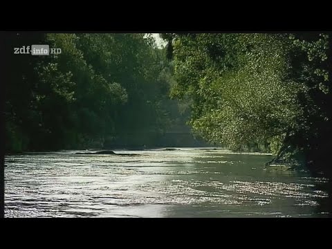 [Doku] Die schwarze Donau - Ein Fluss verschwindet [HD]
