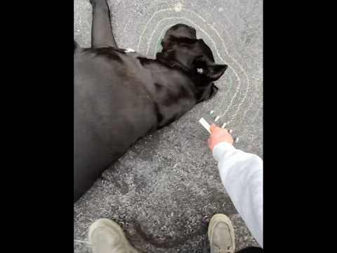 “This looks WAY too real…”