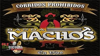 Banda Machos / Corridos Prohibidos en Vivo / ALBUM