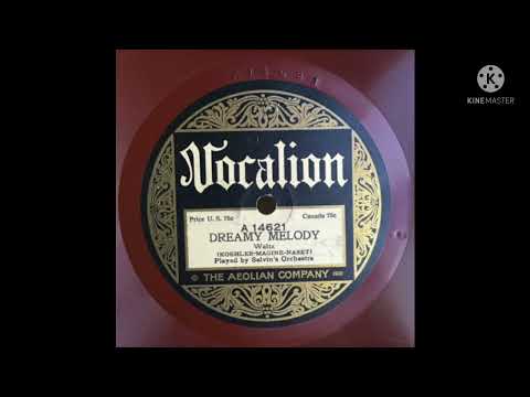 Ben Selvin's Orchestra Dreamy Melody 1923 Vocalion (A 14621)