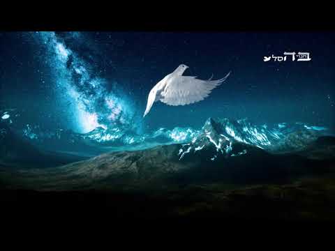 חכמת מלך המשיח זה משהו שאי אפשר לתפוס בשכל!