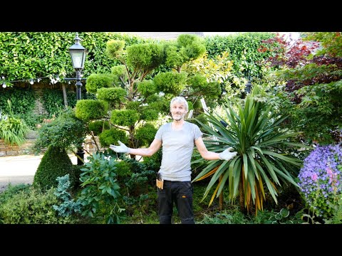 How to cloud prune - part 2 - & some tough decisions