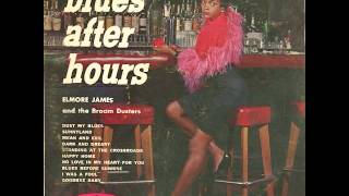 Elmore James and the Broom Dusters   Dust My Blues
