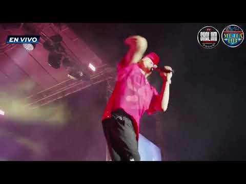 Alex Zurdo - Quiche 11-2025